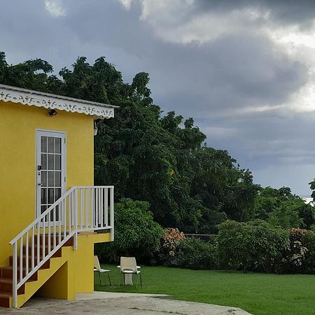 Spectacular Ocean View Retreat Apartment Saint James Exterior photo