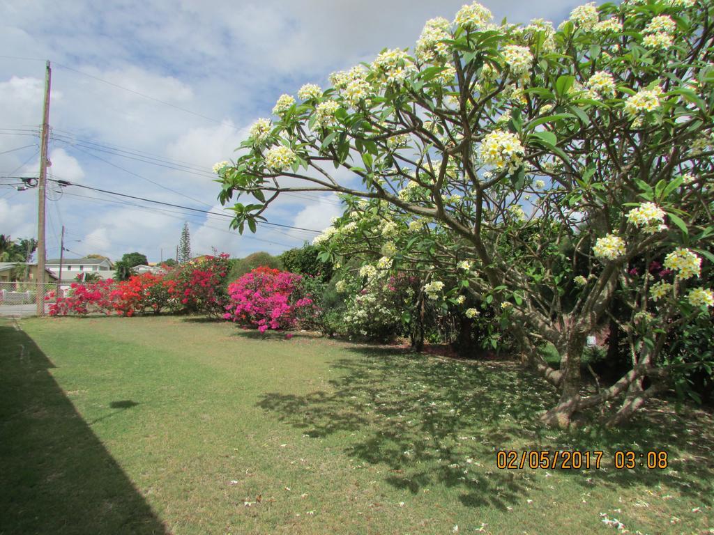Spectacular Ocean View Retreat Apartment Saint James Exterior photo